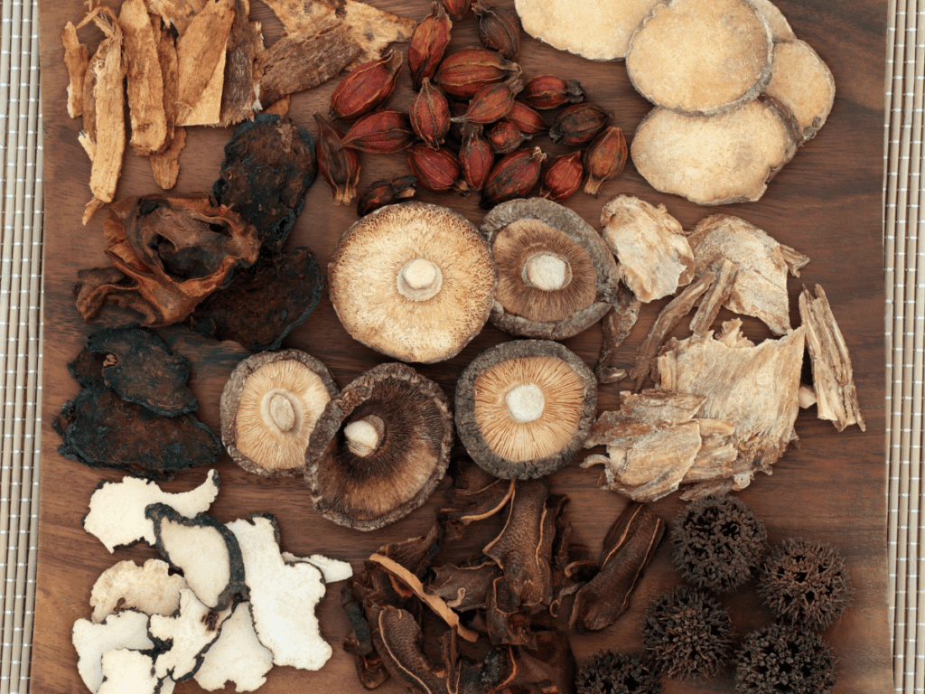 Adaptogenic Mushrooms: Benefits And Types