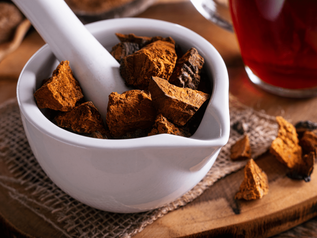 Chaga: Antioxidant-Rich Support For Physical And Mental Wellness