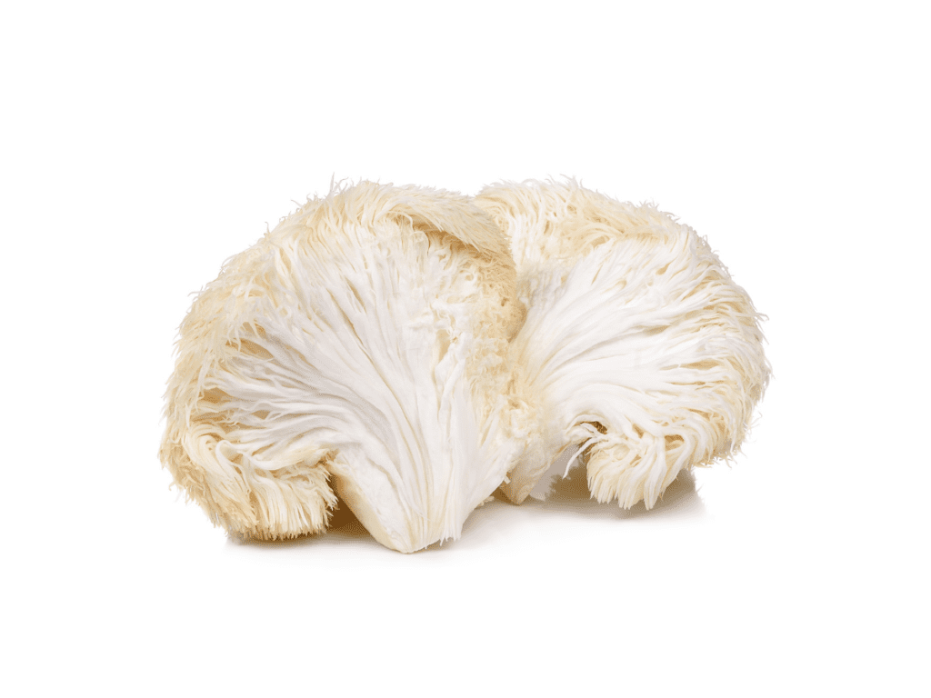 Lion’s Mane Mushrooms