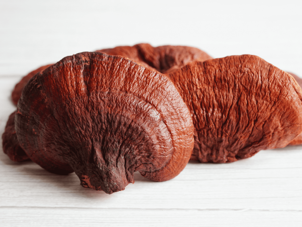 Reishi Mushrooms