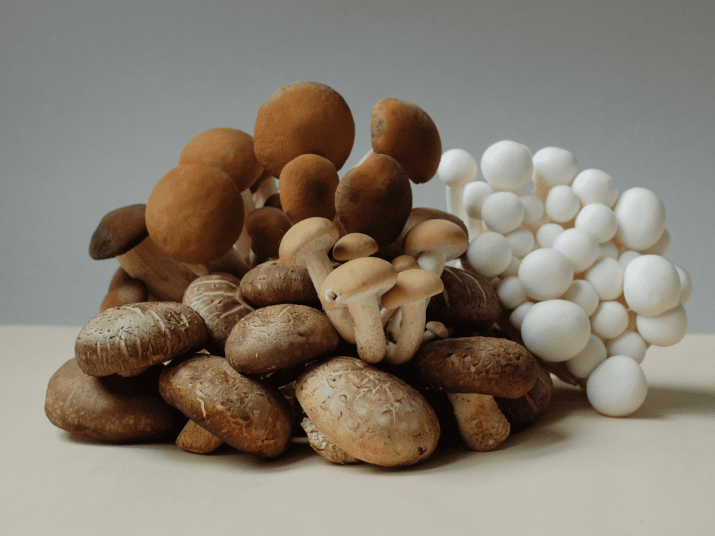 Top Mushrooms For Brain Health: What You Need To Know