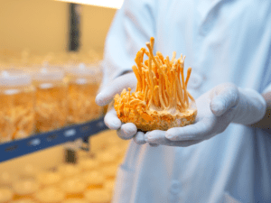 What Are the Benefits of Cordyceps Mushrooms?