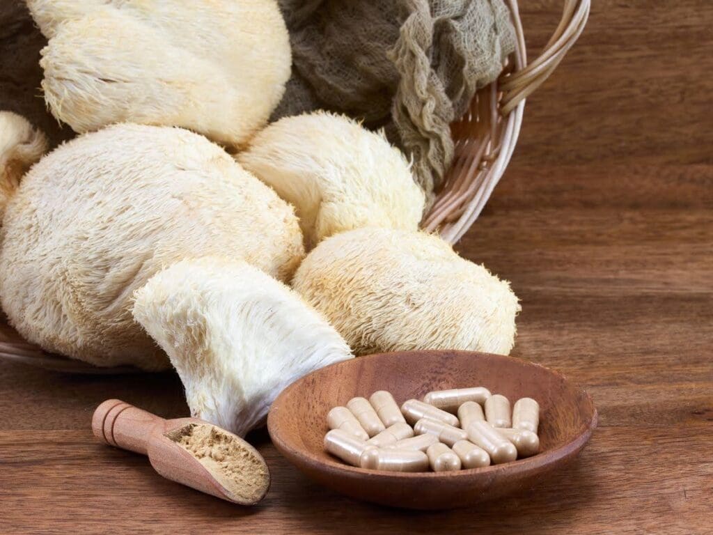 Comparing Lion’s Mane With Other Nootropic Mushrooms