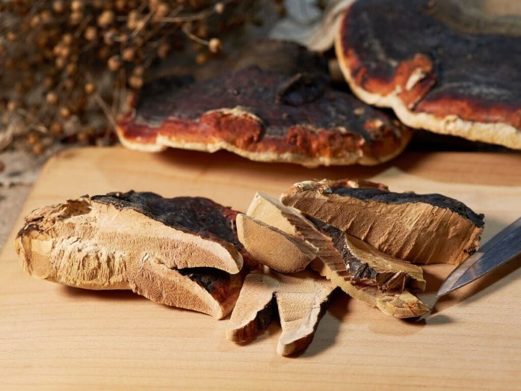 How Reishi Mushrooms Can Help Improve Your Sleep