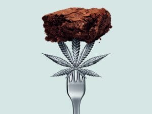 Weed CBD Recipes: The Perfect Weed Brownies