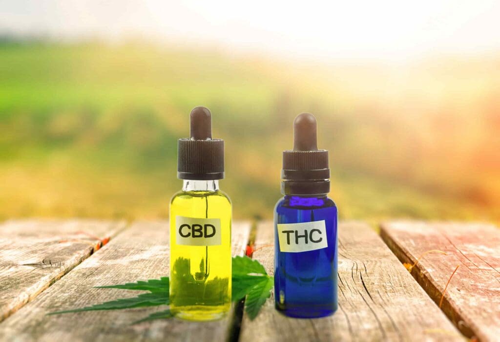 Hemp oil_vs_CBD oil