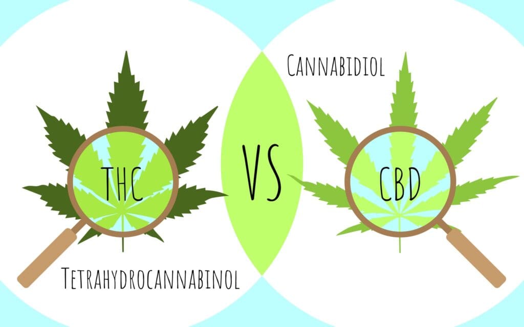 THC Vs CBD