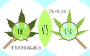 THC Vs CBD