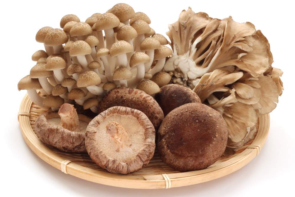 different types of mashrooms in a plate