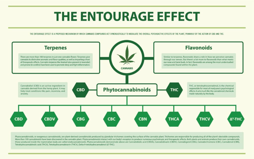 Entourage Effect: Synergistic Power of CBD, CBG & CBN