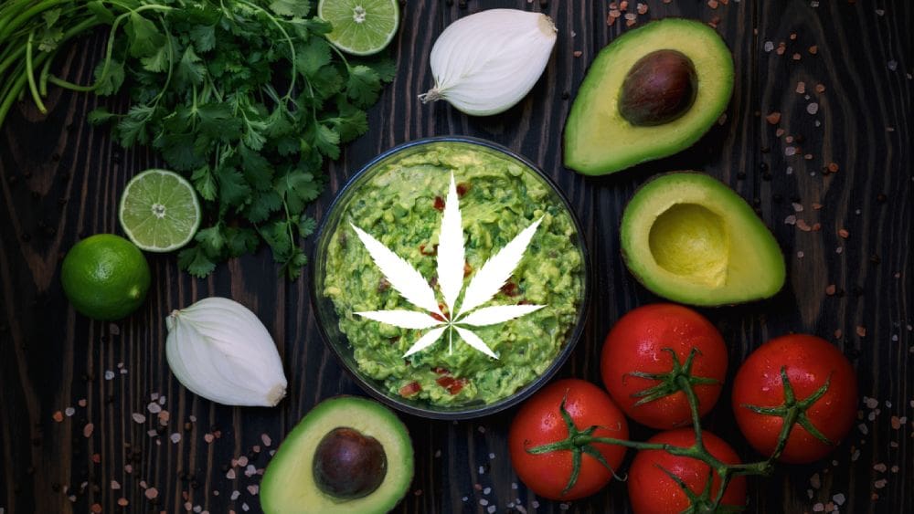 a gucamole bowl surrounded with avacado and tomatoes