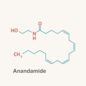 Anandamide, chemical that makes you happy