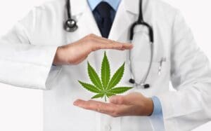 doctor holding weed leaf