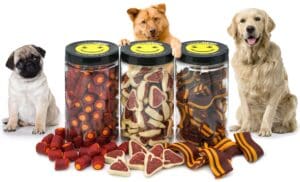 three dogs sitting beside Pet treat jars