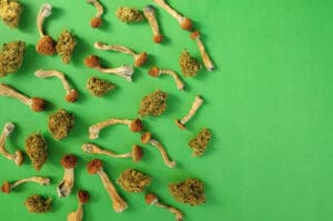 CBD and mushroom supplements