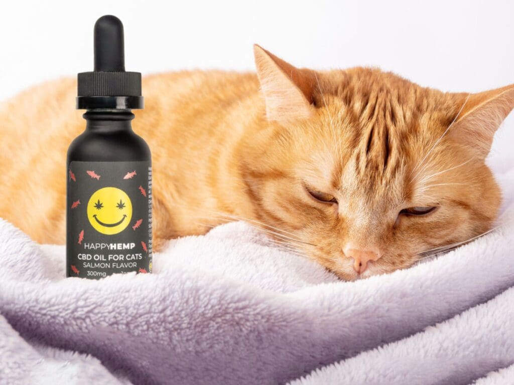 How CBD Oil Can Benefit Your Feline Friend