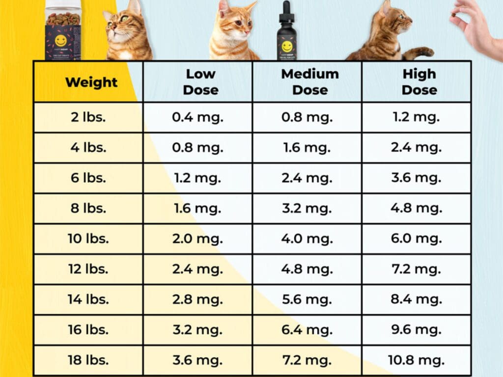 Understanding The Right Dosage