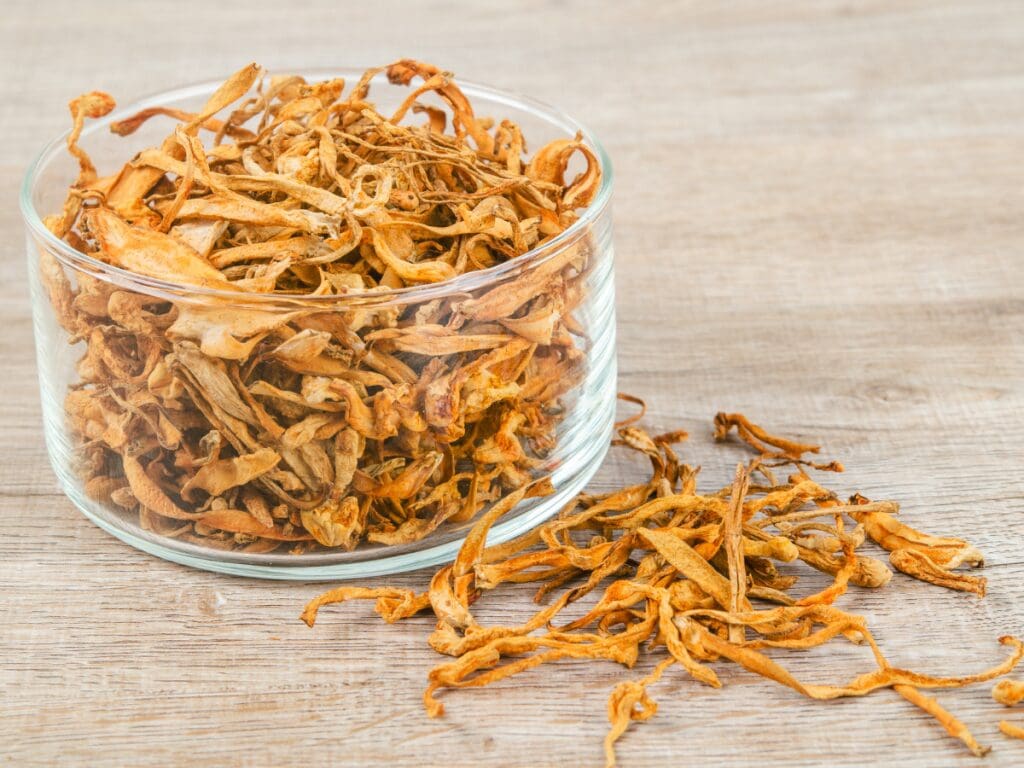 Cordyceps Mushroom