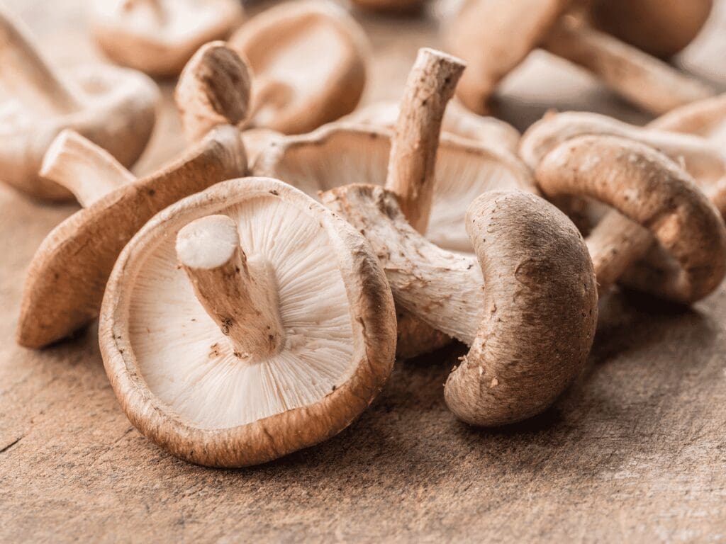 Shiitake Mushrooms