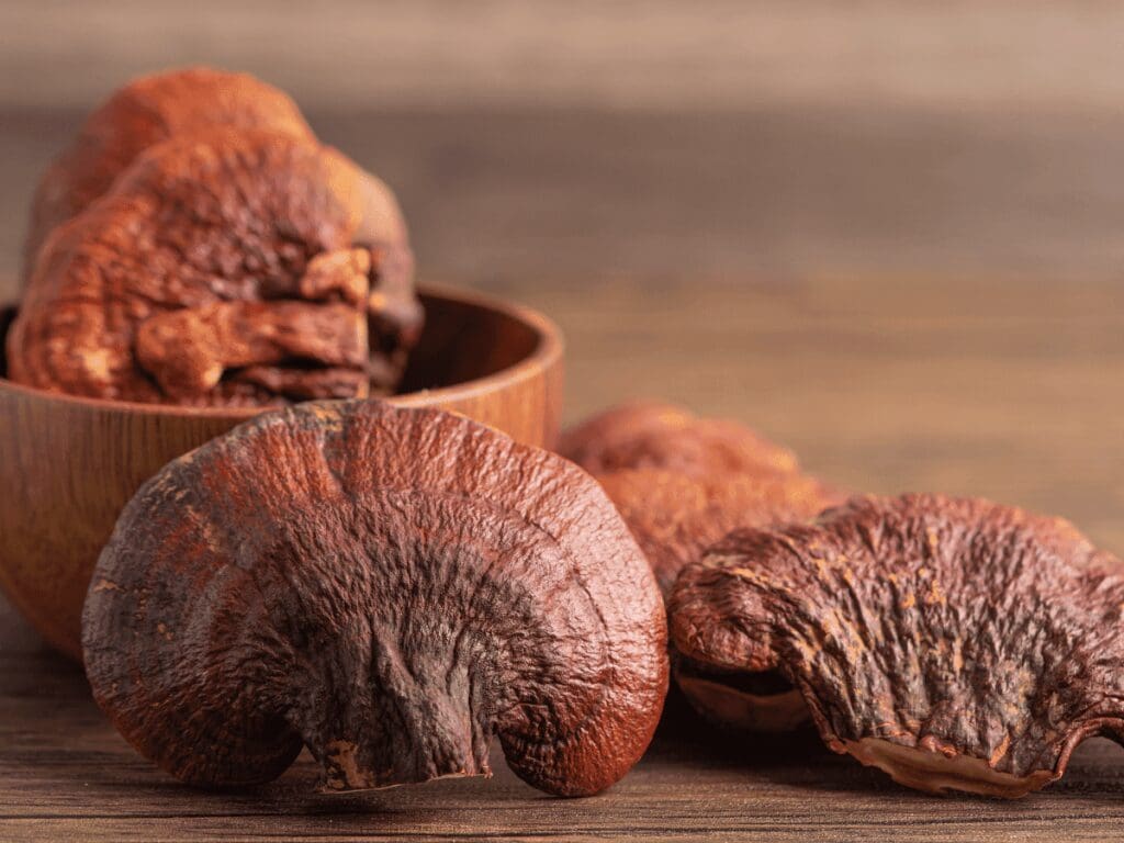 How Reishi Mushrooms Can Transform Your Skin Health Naturally