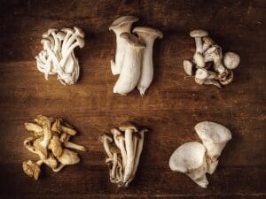 Choosing The Right Mushrooms For Your Health Goals