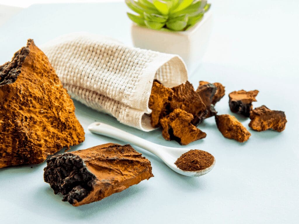 Chaga Mushroom