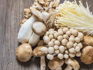 How Mushrooms Can Transform Women's Health