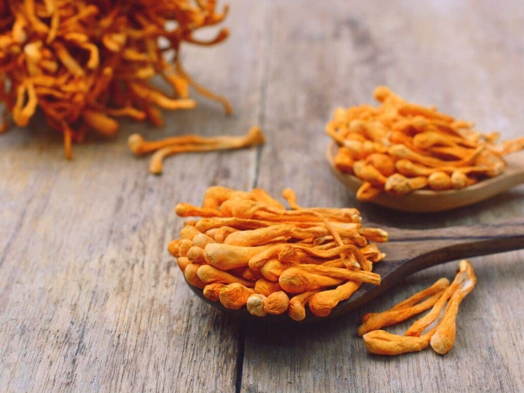 Cordyceps Mushroom Benefits: Boosting Energy And Vitality