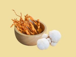 Lion's Mane Vs. Cordyceps: Which Mushroom Is Right For You?