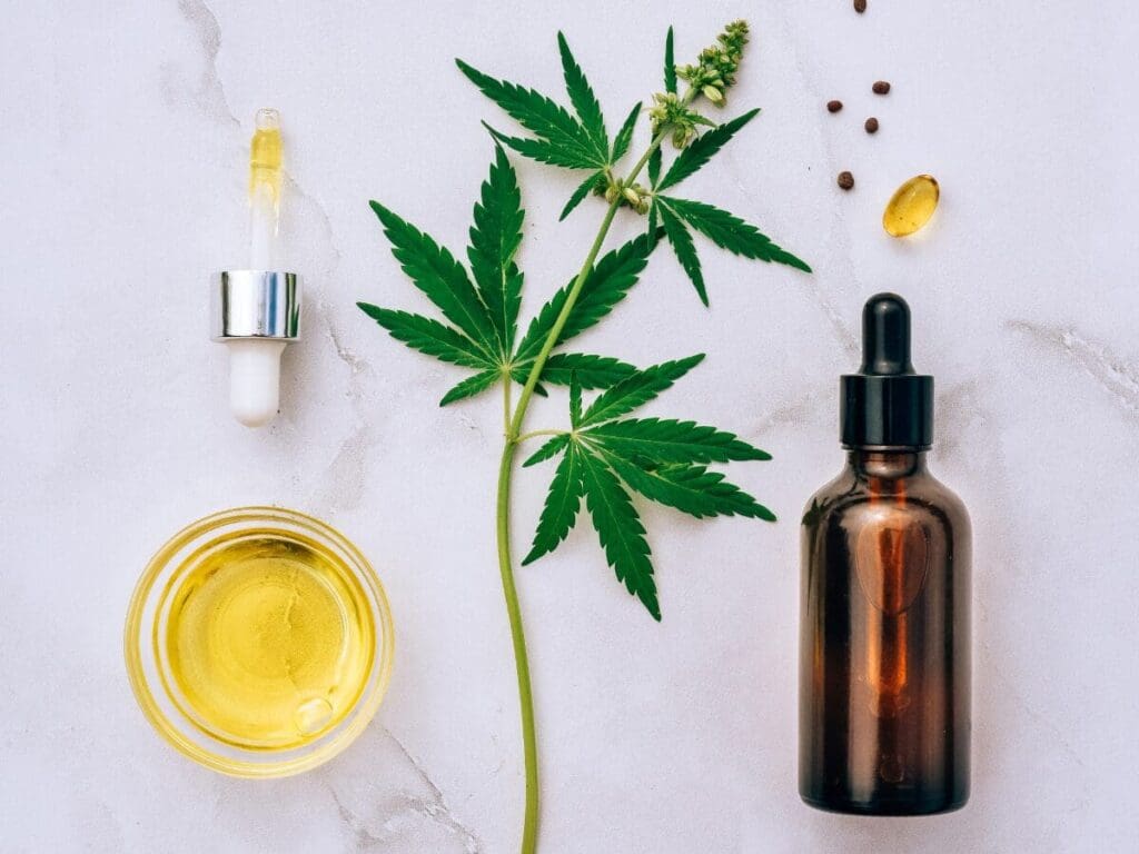 Hemp Oil vs CBD Oil: What’s the Difference